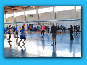 Happyfania_Volley_2026 (31).jpg